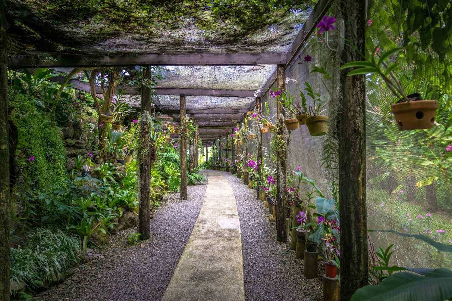 Garden Of The Sleeping Giant Fiji